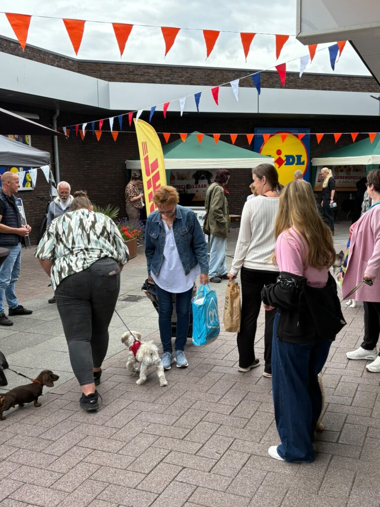 Terugblik Mens & hond experience